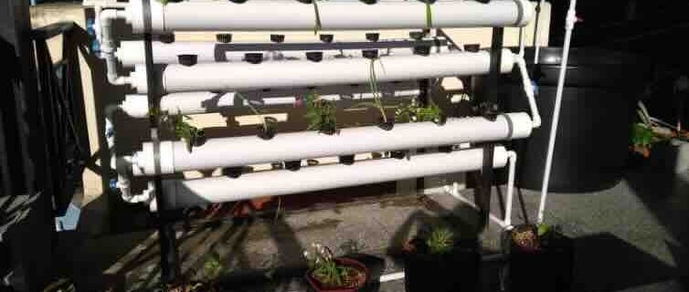 Aquaponics at NGHS